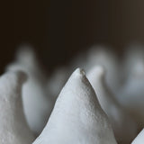 Meringue Kisses